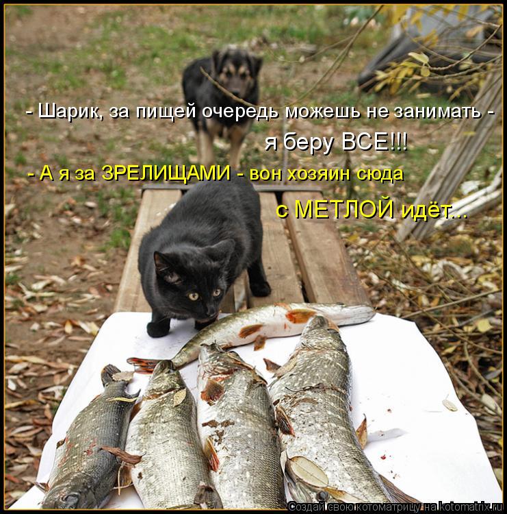 - Шарик, за пищей очередь можешь не занимать - я беру ВСЕ!!! - А я за ЗРЕЛИЩАМИ - вон хозяин сюда с... Котоматрица: - Шарик, за пищей очередь можешь не занимать - я беру ВСЕ!!! - А я за ЗРЕЛИЩАМИ - вон хозяин сюда с МЕТЛОЙ идёт...