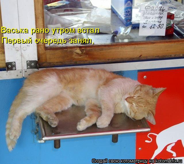 Васька рано утром встал Первый очередь занял,... Котоматрица: Васька рано утром встал Первый очередь занял,