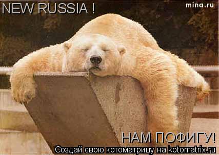 NEW RUSSIA ! НАМ ПОФИГУ!... Котоматрица: NEW RUSSIA ! НАМ ПОФИГУ!
