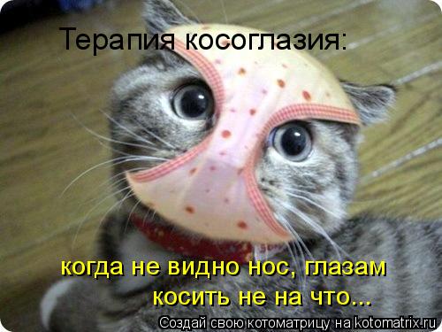 Терапия косоглазия: когда не видно нос, глазам косить не на что...... Котоматрица: Терапия косоглазия: когда не видно нос, глазам косить не на что...