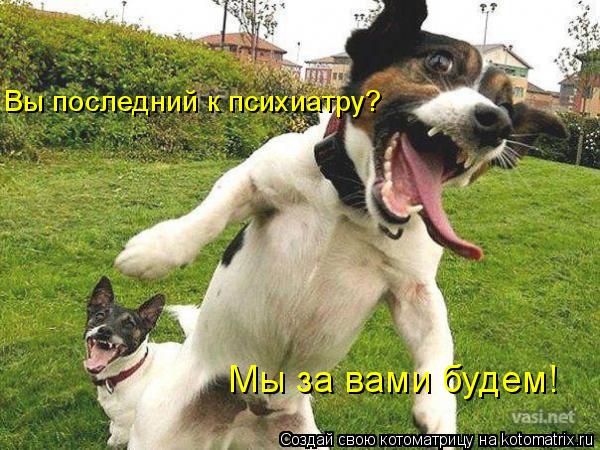 Вы последний к психиатру? Мы за вами будем!... Котоматрица: Вы последний к психиатру? Мы за вами будем!