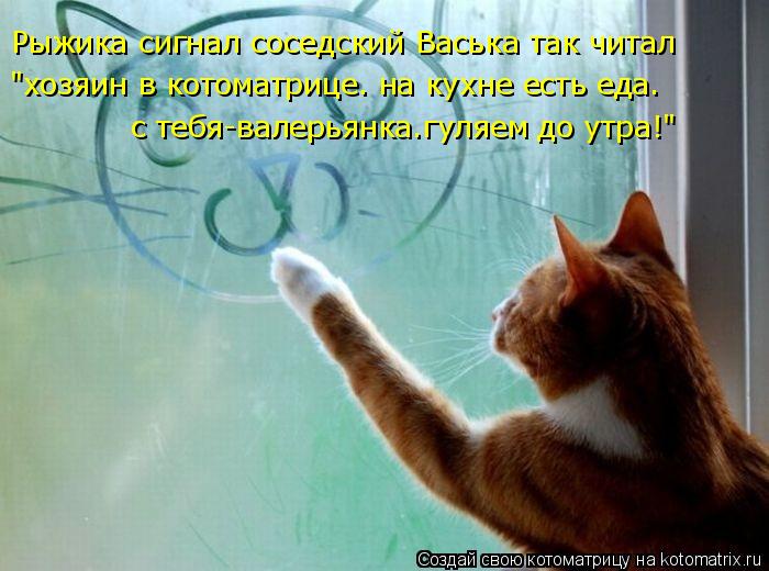 Рыжика сигнал соседский Васька так читал "хозяин в котоматрице. на кухне есть еда. с тебя-валерьянка.... Котоматрица: Рыжика сигнал соседский Васька так читал "хозяин в котоматрице. на кухне есть еда. с тебя-валерьянка.гуляем до утра!"