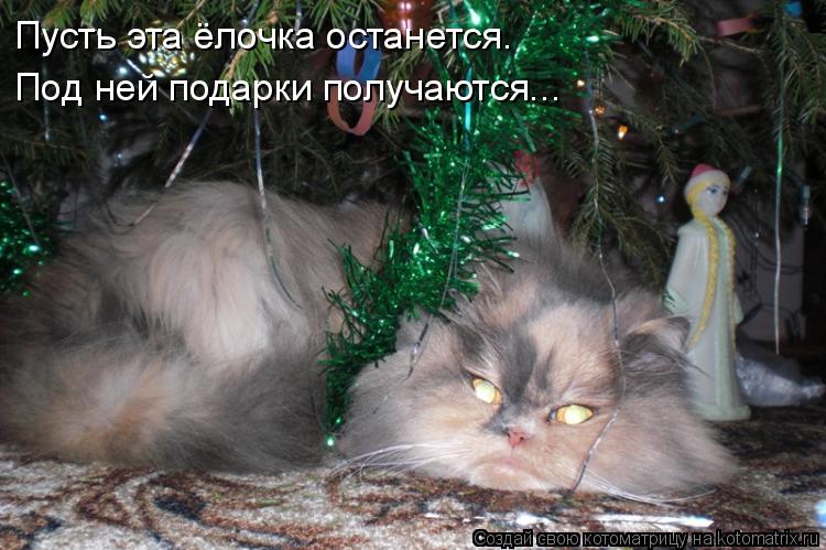 Котоматрица: Пусть эта ёлочка останется. Под ней подарки получаются...