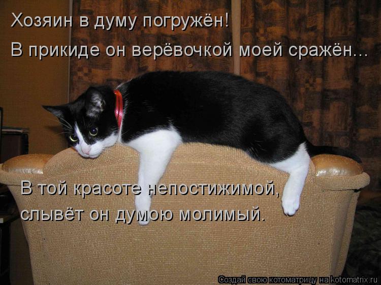 Котоматрица: Хозяин в думу погружён! В прикиде он верёвочкой моей сражён... В той красоте непостижимой, слывёт он думою молимый.