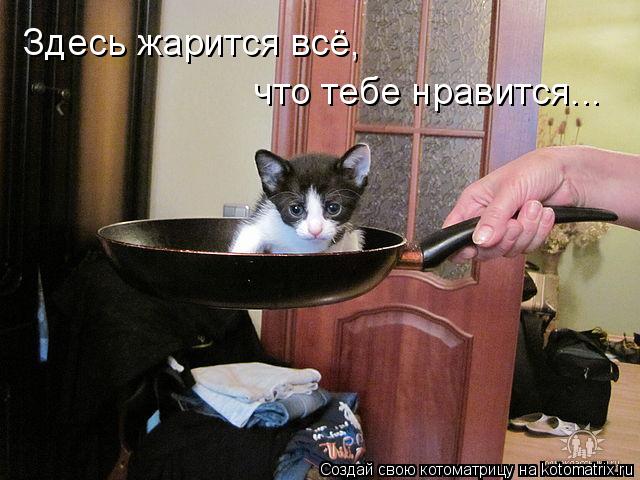 Котоматрица: Здесь жарится всё,   что тебе нравится...