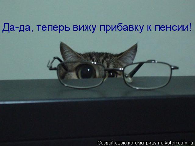 Котоматрица: Да-да, теперь вижу прибавку к пенсии!