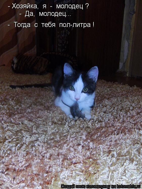 Котоматрица: - Хозяйка,  я  -  молодец ? -  Да,  молодец...  -  Тогда  с  тебя  пол-литра !