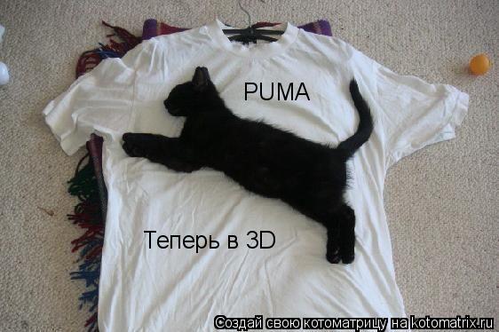 Котоматрица: PUMA Теперь в 3D