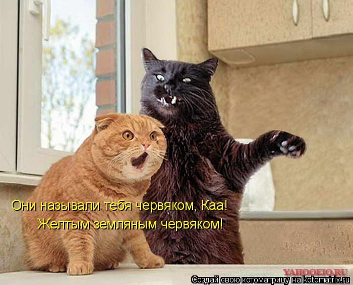Они называли тебя червяком, Каа! Желтым земляным червяком!... Котоматрица: Они называли тебя червяком, Каа! Желтым земляным червяком!