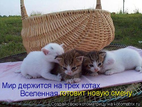 Мир держится на трех котах. Вселенная готовит новую смену.... Котоматрица: Мир держится на трех котах. Вселенная готовит новую смену.