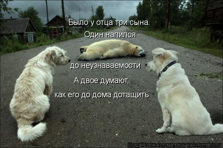 Было у отца три сына. Один напился до неузнаваемости А двое думают, как его до дома дотащить... Котоматрица: Было у отца три сына. Один напился до неузнаваемости А двое думают, как его до дома дотащить