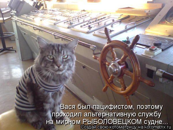 на мирном РЫБОЛОВЕЦКОМ судне... Вася был пацифистом, поэтому проходил альтернативную службу... Котоматрица: на мирном РЫБОЛОВЕЦКОМ судне... Вася был пацифистом, поэтому проходил альтернативную службу