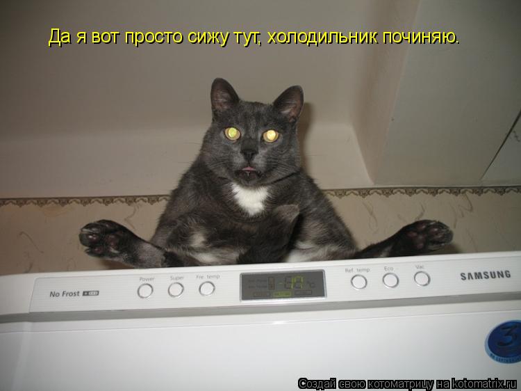 Да я вот просто сижу тут, холодильник починяю.... Котоматрица: Да я вот просто сижу тут, холодильник починяю.