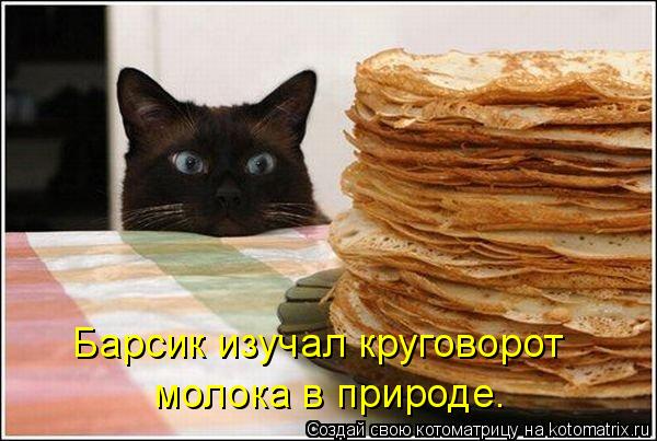 Барсик изучал круговорот молока в природе.... Котоматрица: Барсик изучал круговорот молока в природе.