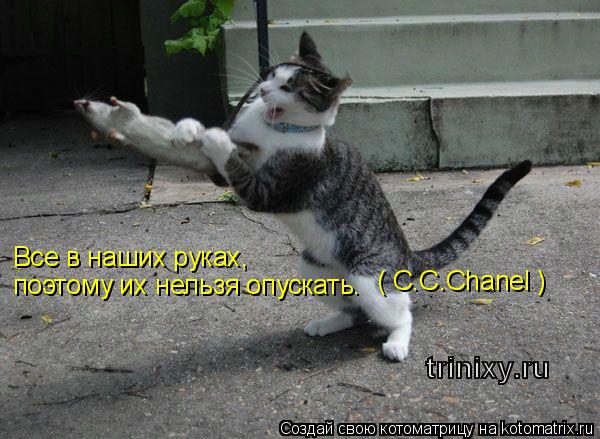 Все в наших руках, поэтому их нельзя опускать. ( C.C.Chanel )... Котоматрица: Все в наших руках, поэтому их нельзя опускать. ( C.C.Chanel )