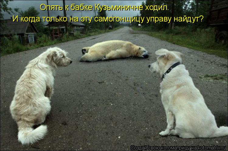 И когда только на эту самогонщицу управу найдут? Опять к бабке Кузьминичне ходил.... Котоматрица: И когда только на эту самогонщицу управу найдут? Опять к бабке Кузьминичне ходил.