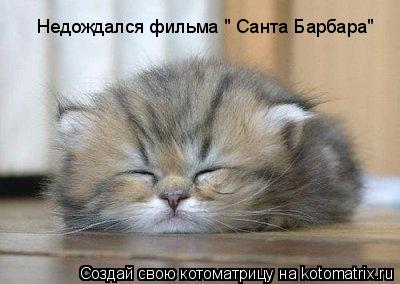 Недождался фильма " Санта Барбара"... Котоматрица: Недождался фильма " Санта Барбара"