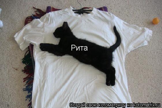 Рита... Котоматрица: Рита