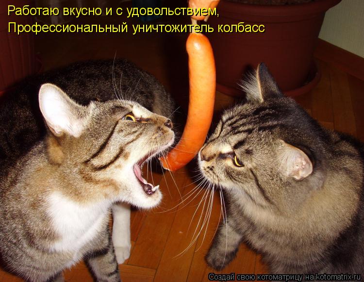 Котоматрица: Работаю вкусно и с удовольствием, Профессиональный уничтожитель колбасс