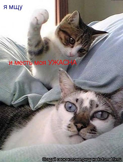 я мщу и месть моя УЖАСНА... Котоматрица: я мщу и месть моя УЖАСНА