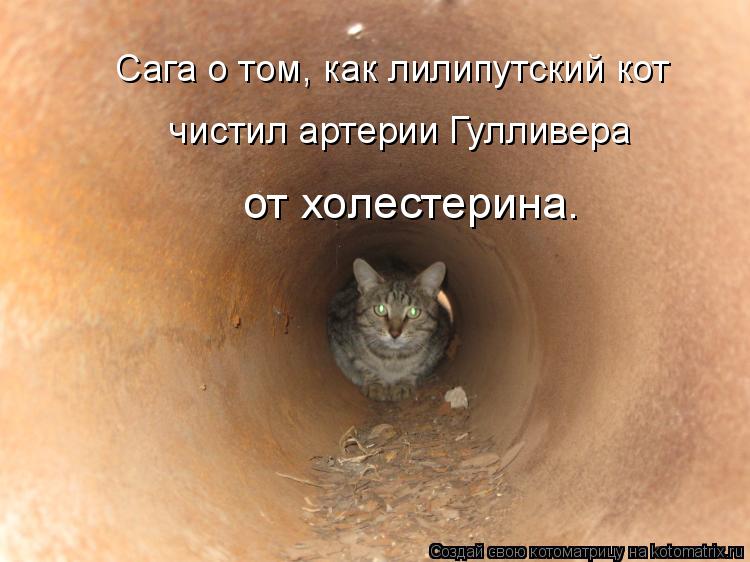 Сага о том, как лилипутский кот чистил артерии Гулливера от холестерина.... Котоматрица: Сага о том, как лилипутский кот чистил артерии Гулливера от холестерина.