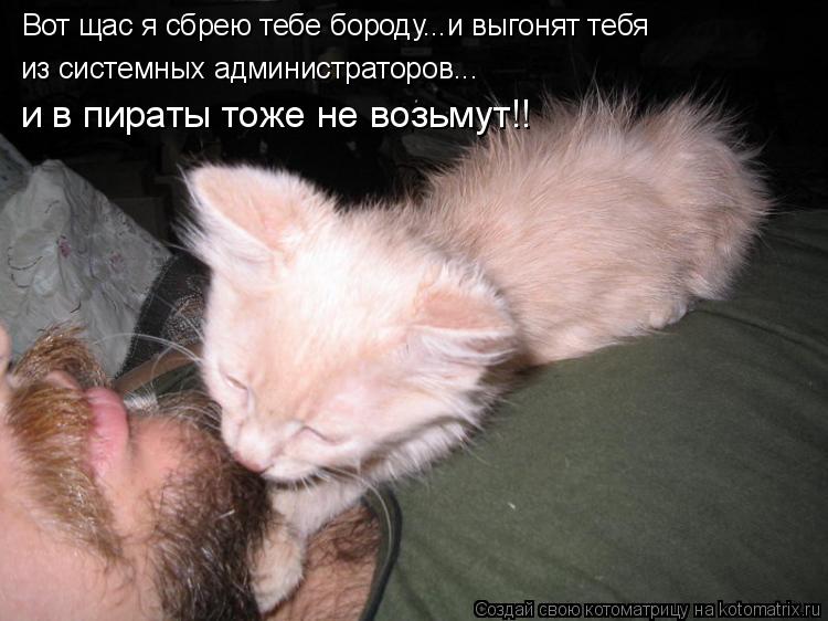 Котоматрица: из системных администраторов... и в пираты тоже не возьмут!! Вот щас я сбрею тебе бороду...и выгонят тебя
