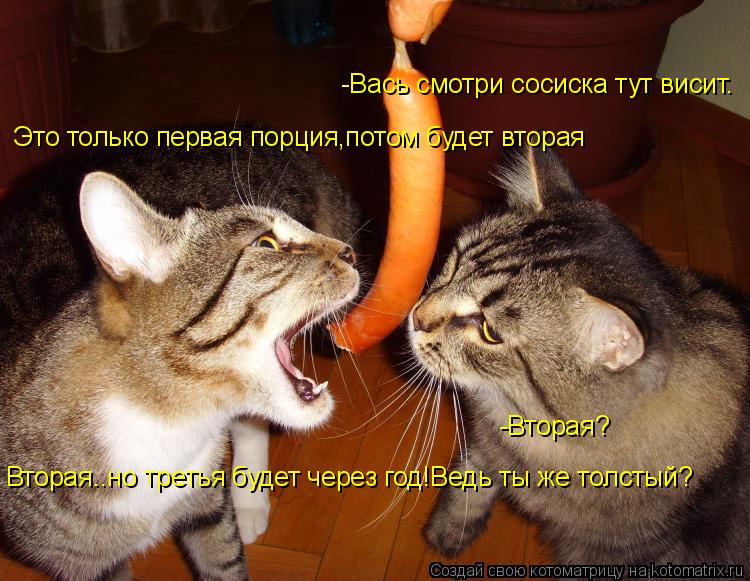 Котоматрица: -Вась смотри сосиска тут висит. Это только первая порция,потом будет вторая -Вторая? Вторая..но третья будет через год!Ведь ты же толстый?