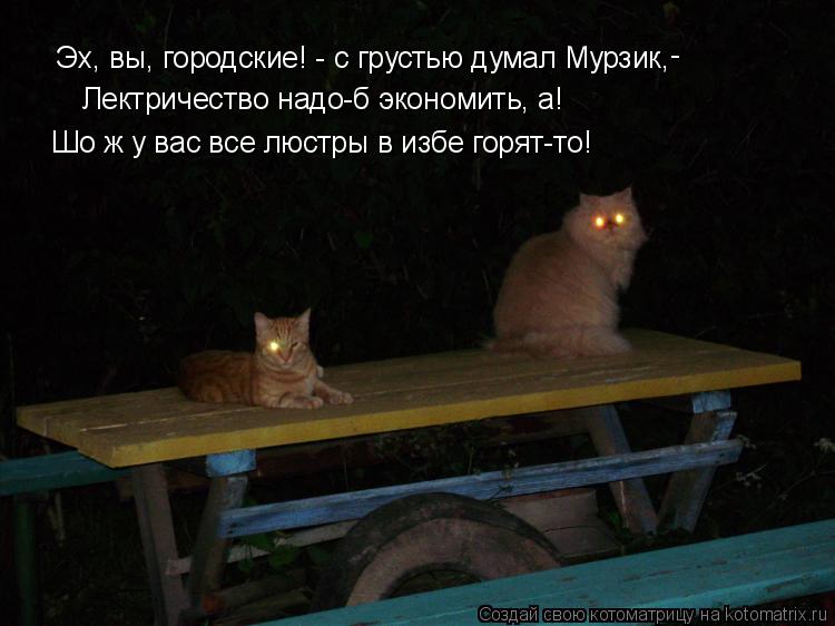 Котоматрица: Эх, вы, городские! - с грустью думал Мурзик,  - Лектричество надо-б экономить, а! Шо ж у вас все люстры в избе горят-то!