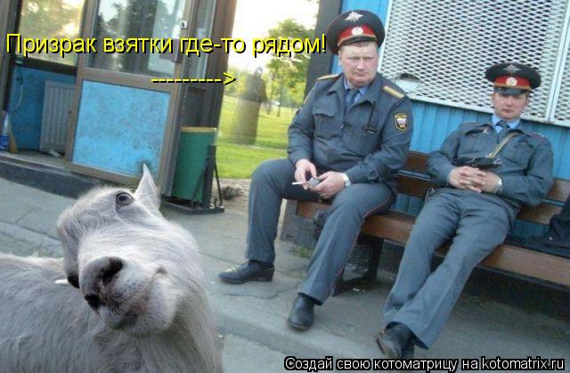 Котоматрица: ---------> Призрак взятки где-то рядом!