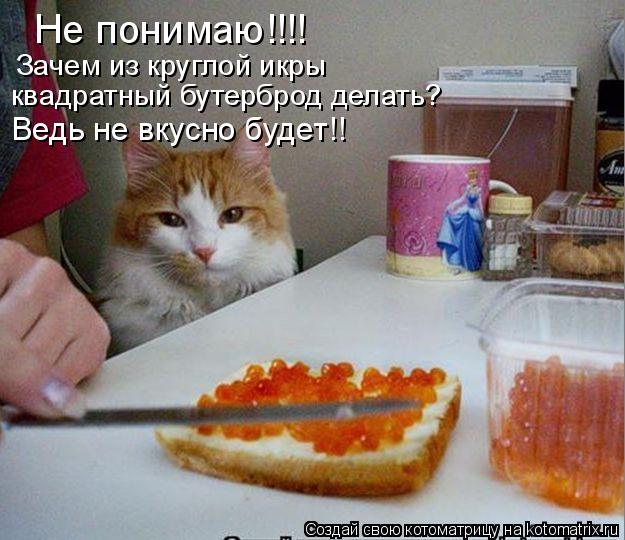 Не понимаю!!!! Зачем из круглой икры квадратный бутерброд делать? Ведь не вкусно будет!!... Котоматрица: Не понимаю!!!! Зачем из круглой икры квадратный бутерброд делать? Ведь не вкусно будет!!