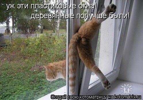 уж эти пластиковые окна! деревянные получше были!... Котоматрица: уж эти пластиковые окна! деревянные получше были!