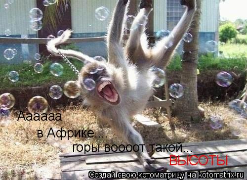 Аааааа в Африке.... горы воооот такой... ВЫСОТЫ... Котоматрица: Аааааа в Африке.... горы воооот такой... ВЫСОТЫ