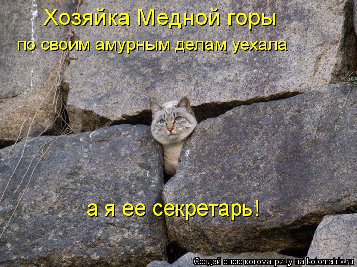 по своим амурным делам уехала а я ее секретарь! Хозяйка Медной горы... Котоматрица: по своим амурным делам уехала а я ее секретарь! Хозяйка Медной горы