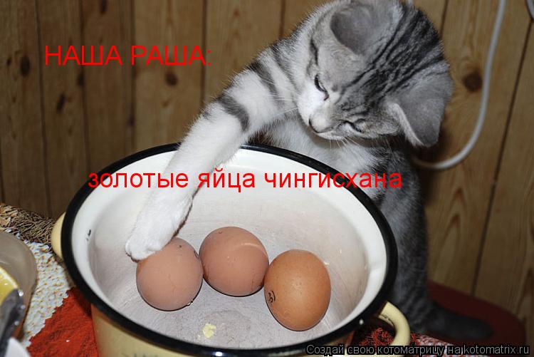 НАША РАША: золотые яйца чингисхана... Котоматрица: НАША РАША: золотые яйца чингисхана