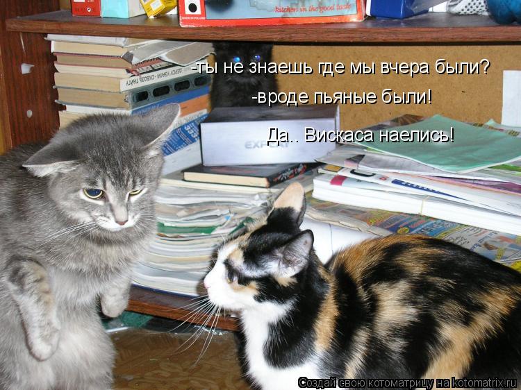 Котоматрица: -ты не знаешь где мы вчера были? -вроде пьяные были! Да.. Вискаса наелись!