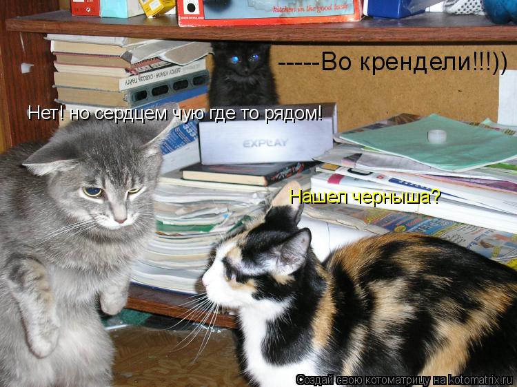 Котоматрица: Нашел черныша? Нет! но сердцем чую где то рядом! -----Во крендели!!!))