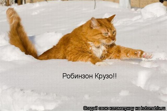 Котоматрица: Робинзон Крузо!!