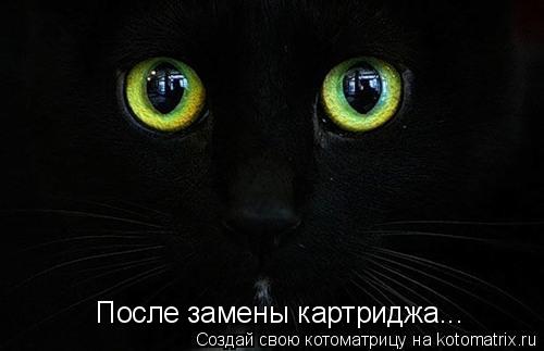Котоматрица: После замены картриджа...