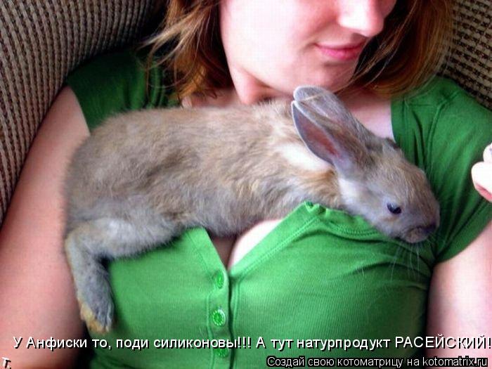 Котоматрица: У Анфиски то, поди силиконовы!!! А тут натурпродукт РАСЕЙСКИЙ!!!
