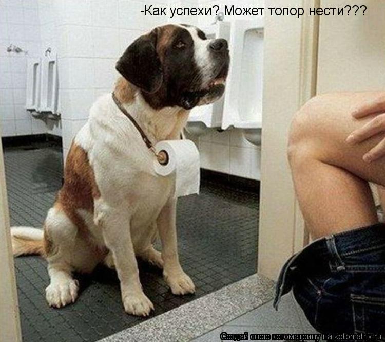 Котоматрица: -Как успехи? Может топор нести???