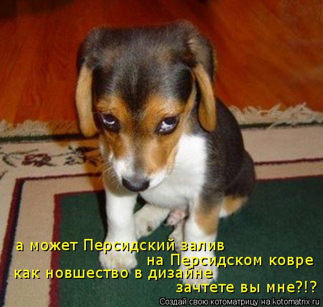 Котоматрица: а может Персидский залив на Персидском ковре  как новшество в дизайне зачтете вы мне?!?