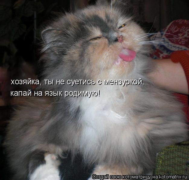 Котоматрица: хозяйка, ты не суетись с мензуркой,  капай на язык родимую!