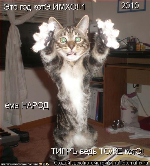 Котоматрица: 2010 Это год котЭ ИМХО!!1 ёма НАРОД ТИГРЪ ведь ТОЖЕ котЭ!