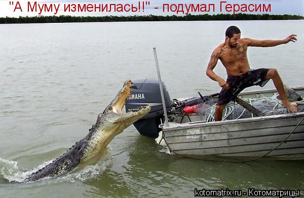 Котоматрица: "А Муму изменилась!!" - подумал Герасим