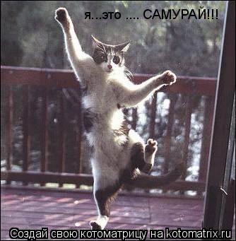 Котоматрица: я...это .... САМУРАЙ!!!