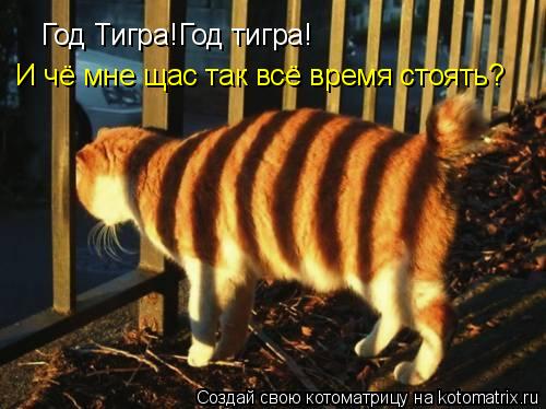 Котоматрица: Год Тигра!Год тигра!И чё мне так щас всё время стоять? Год Тигра!Год тигра! И чё мне щас так всё время стоять?