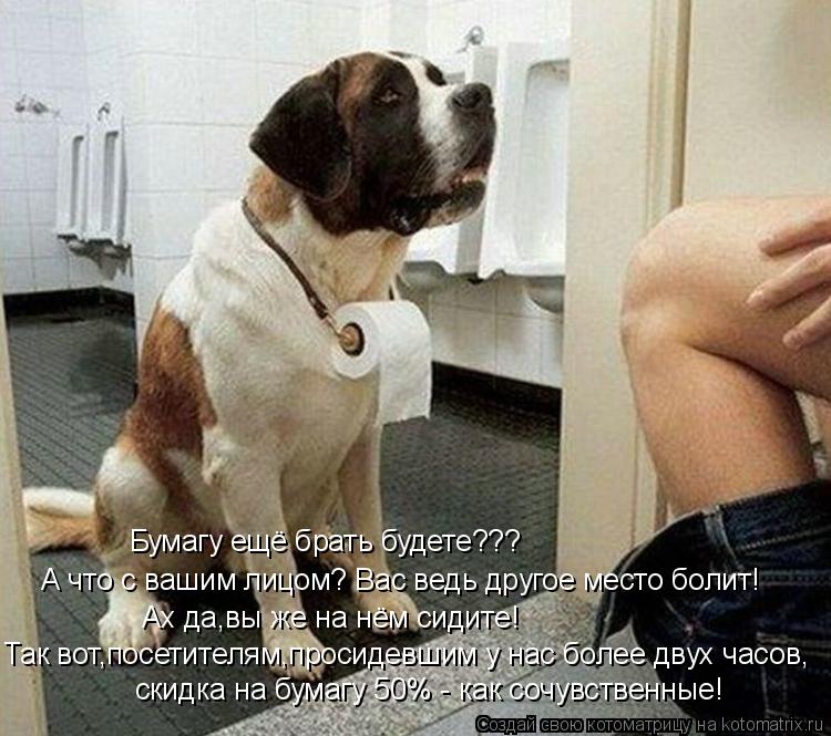 Котоматрица: Бумагу ещё брать будете??? А что с вашим лицом? Вас ведь другое место болит! Ах да,вы же на нём сидите! Так вот,посетителям,просидевшим у нас бо
