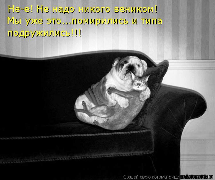 Не-е! Не надо никого веником! Мы уже это...помирились и типа подружились!!!... Котоматрица: Не-е! Не надо никого веником! Мы уже это...помирились и типа подружились!!!