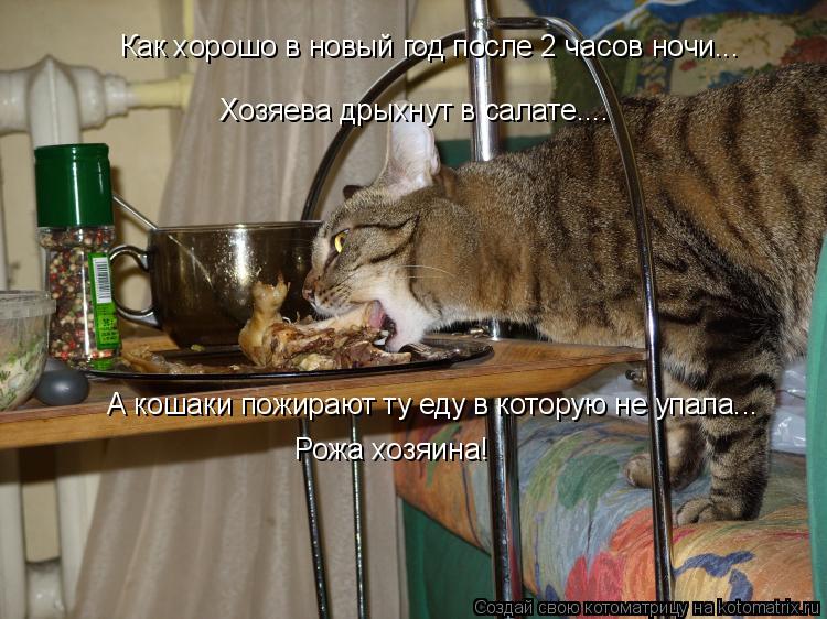 Как хорошо в новый год после 2 часов ночи... Хозяева дрыхнут в салате.... А кошаки пожирают ту еду в ... Котоматрица: Как хорошо в новый год после 2 часов ночи... Хозяева дрыхнут в салате.... А кошаки пожирают ту еду в которую не упала... Рожа хозяина!