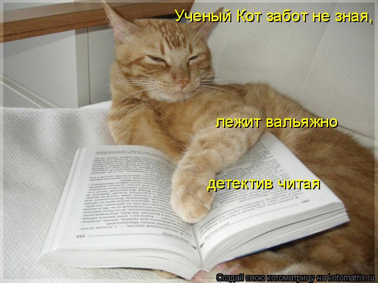 Ученый Кот забот не зная, лежит вальяжно детектив читая... Котоматрица: Ученый Кот забот не зная, лежит вальяжно детектив читая